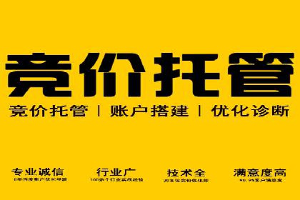 百度竞价包年案例：成功案例展示